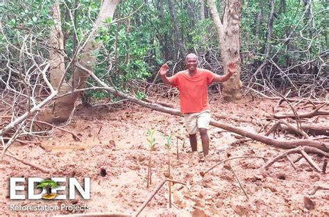 Meet Sony An Eden Planter In Mahajanga Madagascar Sony Lived In