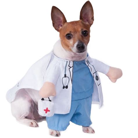 Vet Doctor Walking Pet Costume Pet Costumes Pets Costumes