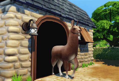 Sims 4 Cottage Living Purchase More Llamas Best Sims Mods