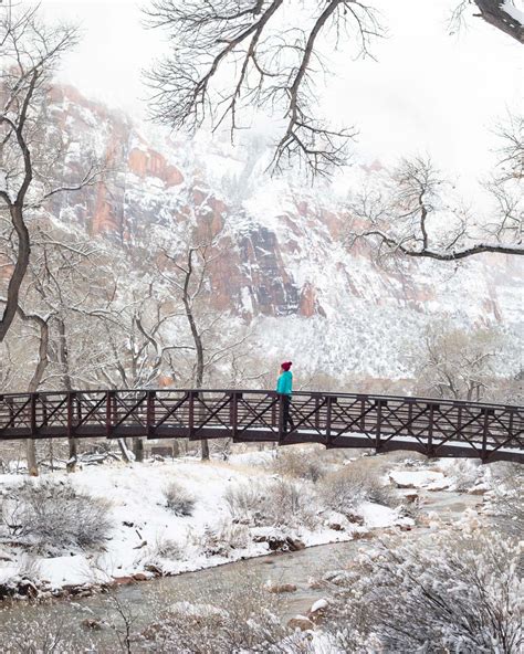 Why You Definitely Need To Visit Zion National Park In Winter — Walk My