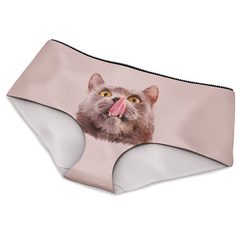 The Pussycat Cute And Comfy Hipster Panties With Cat Graphic Etsy