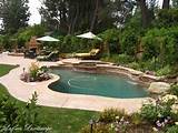 Landscaping Around A Kidney Shaped Pool Pictures