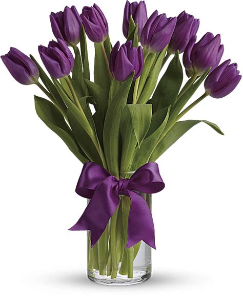 Passionate Purple Tulips El Camino Florist