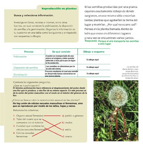 We did not find results for: Respuestas Del Libro De Ciencias Naturales 4 Grado - Libros Famosos