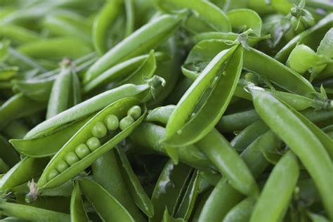 3 Types Of Peas For Your Garden