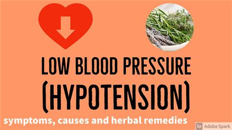 Low Blood Pressure Hypotension Symptoms Causes And Herbal Remedies