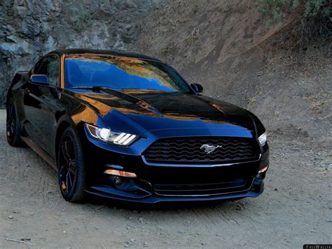 Black Mustang Wallpapers - Wallpaper Cave