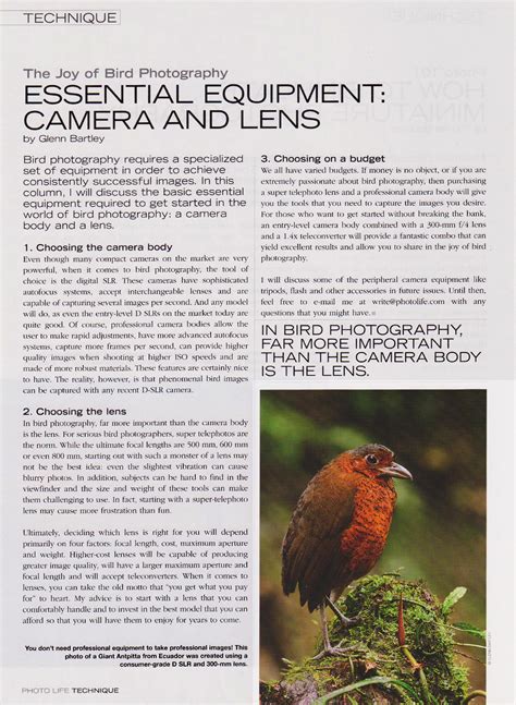 Photography Article Photolife The Joy Of Bird Photography