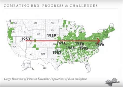 fighting back against rose rosette disease, with christina king of star