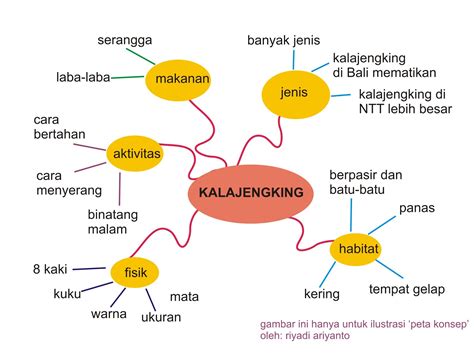 Cara Buat Peta Konsep Di Ppt Gratis Imagesee Riset