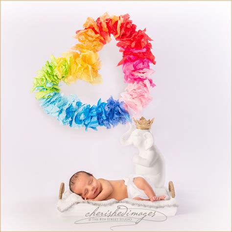 Rainbow Baby Newborn Portraits Celebrate Cherished Images
