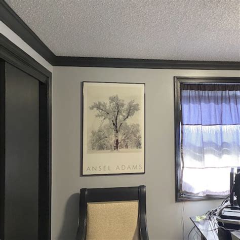 Browse 245 photos of black crown molding. Black Foam Crown Molding | Crown Molding Solutions