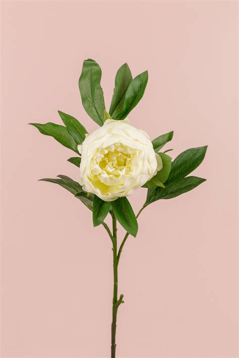 In addition to the butterfly garden, 'ice ballet. King Peony S064-CR - P_9202440141 - Silkflora - Artificial ...