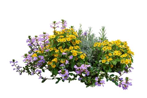 Flower Garden Png Png Image Collection