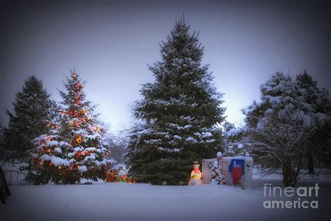 Outdoor Christmas Tree Photograph By Thomas Woolworth