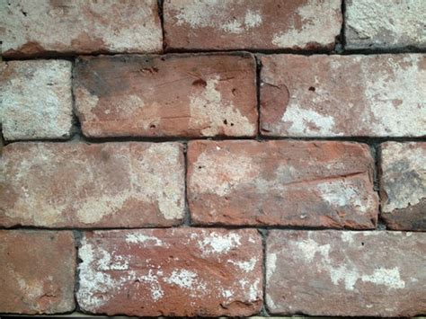 Reclaimed Brick Veneer Floors Any First Hand Experience