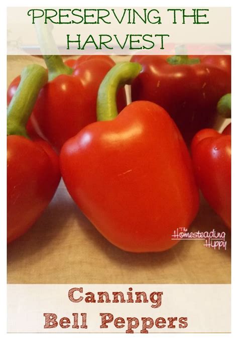Maybe you would like to learn more about one of these? Pin on ~{ In the Kitchen: Recipes }~