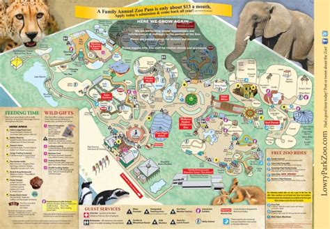 Zoos Tampa Lowry Park Zoo Zoos In Florida Map Printable Maps