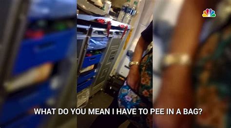 american airlines passengers had to pee in bags after toilets overflowed daily mail online