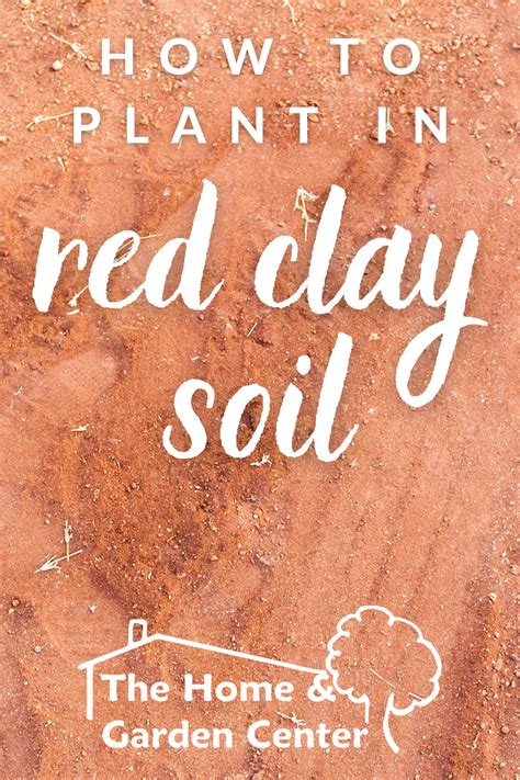 How To Plant In Red Clay Soil Clay Soil Soil Red Clay