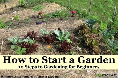 Want To Learn How To Start A Garden Well Take You Through Gardening