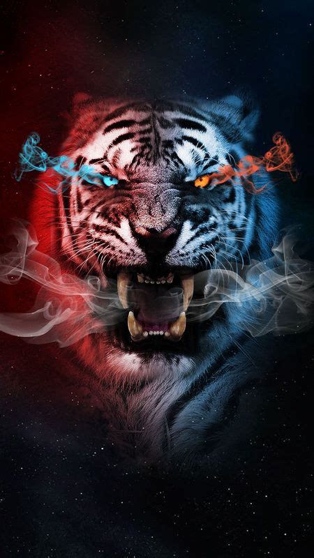 Wooga Tiger Master Apps On Galaxy Store Tiger Artwork Tiger