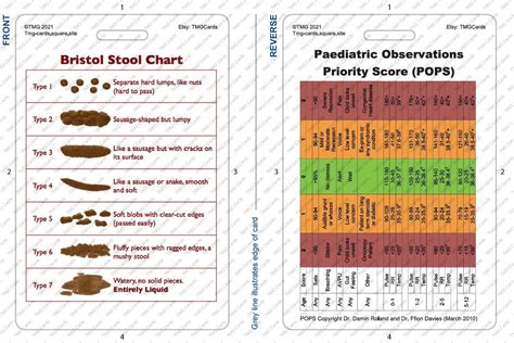 Bristol Stool Chart And Paediatric Observation Priority Etsy