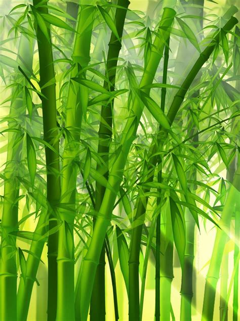 Right now we have 75+ background pictures, but the number of images is growing, so add the webpage to bookmarks and. Vector - Green Bamboo Forest Japan - iPad iPhone HD ...