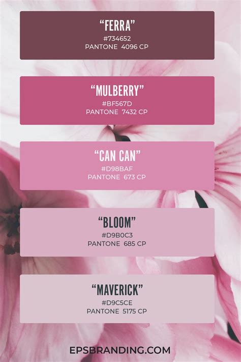 17 Beautiful Pink Color Palettes Eps Branding Color Palette Pink