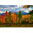 Best Places To See The Fall Colors In Colorado  Building Our Story