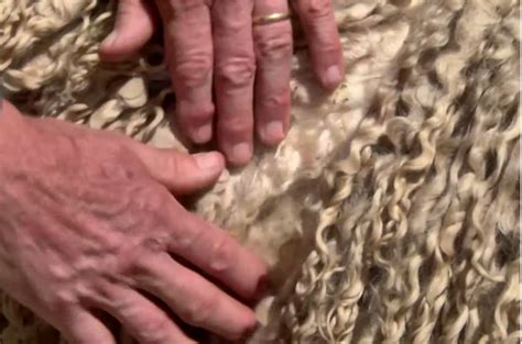 Express Your Creativity Knitting Wool Knit Crochet