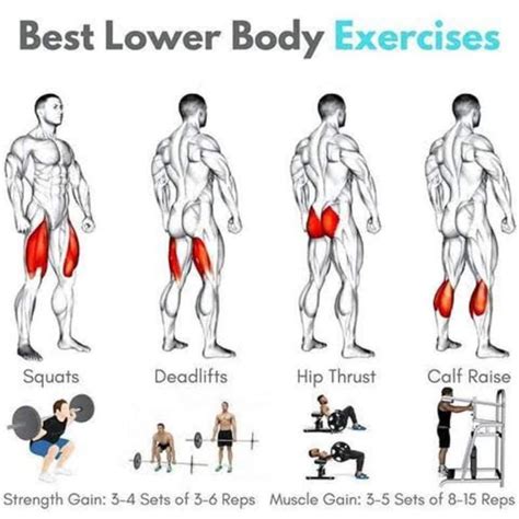 Best Lower Body Ecercises Lower Body Workout Muscle Building