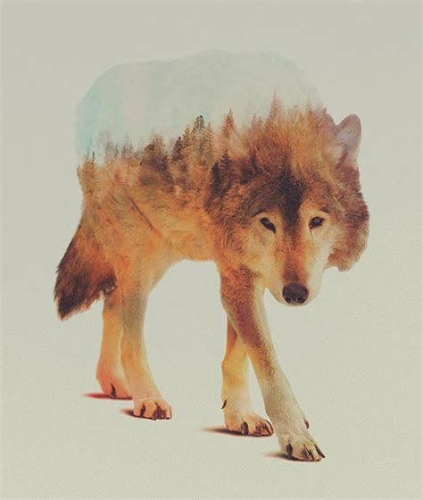 30 Best Double Exposure Photography Examples A New Photo