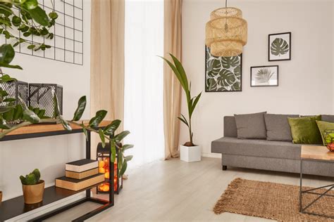 However, switching them up to something more subtle can make a huge difference. Living room interior small decorative plants Stock Photo ...