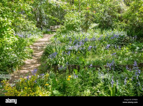 Woodland Garden High Resolution Stock Photography And Images Alamy