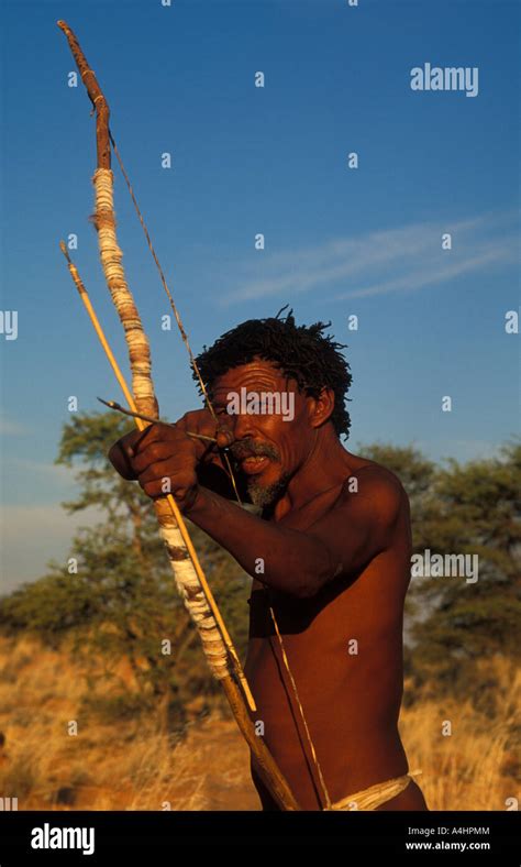 Bushman San Man Hunting With Bow And Arrow Kalahari Northern Cape South