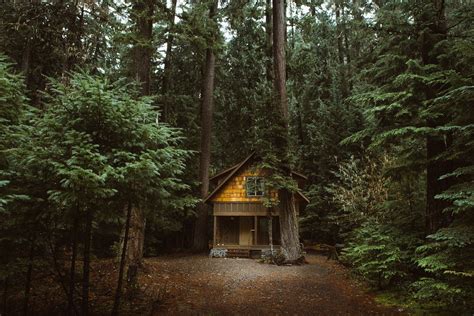 Forest Nature Cabin Wallpaper And Background