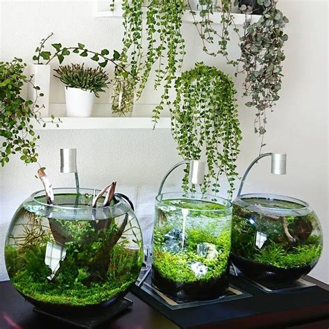 4.0 out of 5 stars 6. Choose Your Favorite Nano Nature Planted Tank | Planted ...