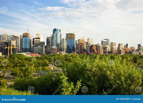 City Forest Royalty Free Stock Images Image 13019309
