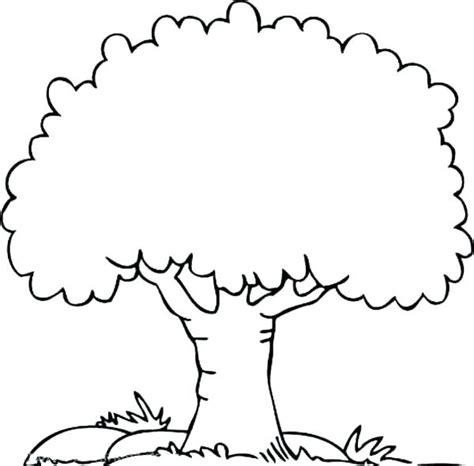 Download the perfect apple tree pictures. Tree Outline Printable Free Download Clip Art - WebComicms.Net