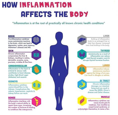 Enzymes And Inflammation