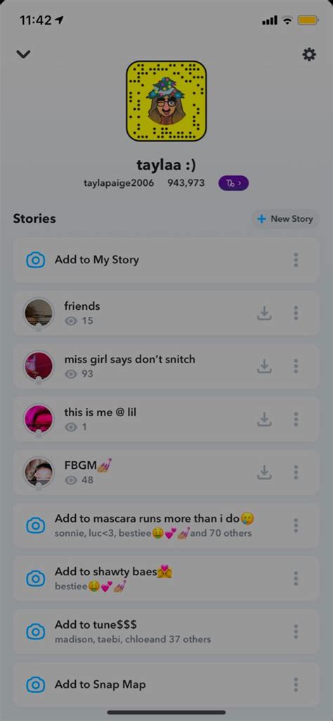 priv story names snapchat names social media friends list