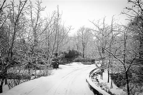 Nostalgic Photo Of Winter Village Monochrome Snow Scene Background