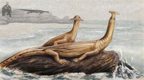 Atopodentatus A Weird Herbivorous Marine Reptile From The Triassic