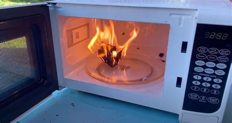 Is it safe to put my microwave on silent mode? Here's Why Your Paper Towel Caught Fire In The Microwave ...