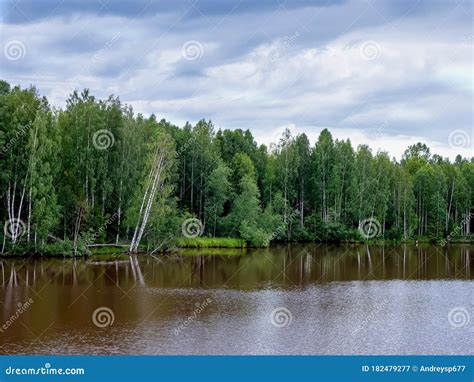River Bank Landscape With Green Trees Stock Image Image Of Wide