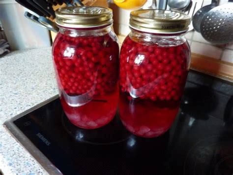 Getränk Johannisbeerlikör Rezept mit Bild