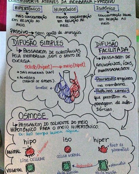 Mapa Mental Membrana Plasmatica Baixe Gratis Em Pdf Em 2020 Images