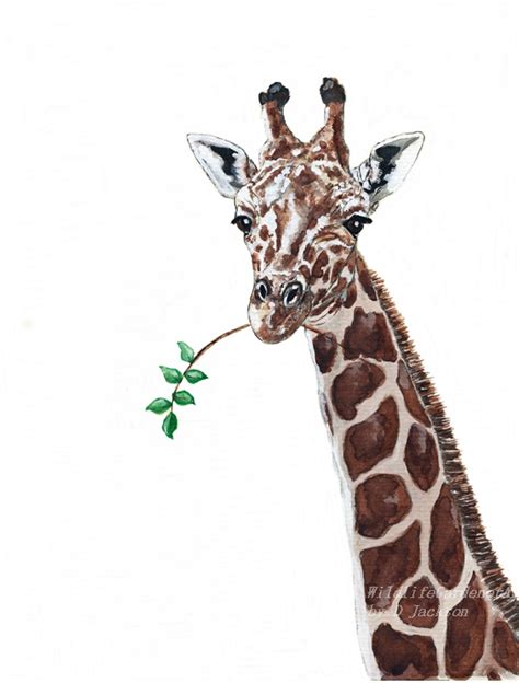 Giraffe Watercolor Art Print Safari Animal Art Wildlife Gardener Art