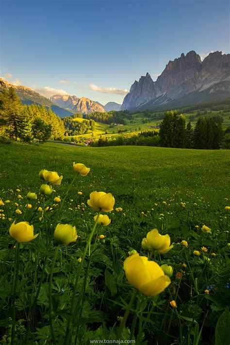 Dolomite In Summer By Tonnaja Anan Charoenkal 500px All Nature